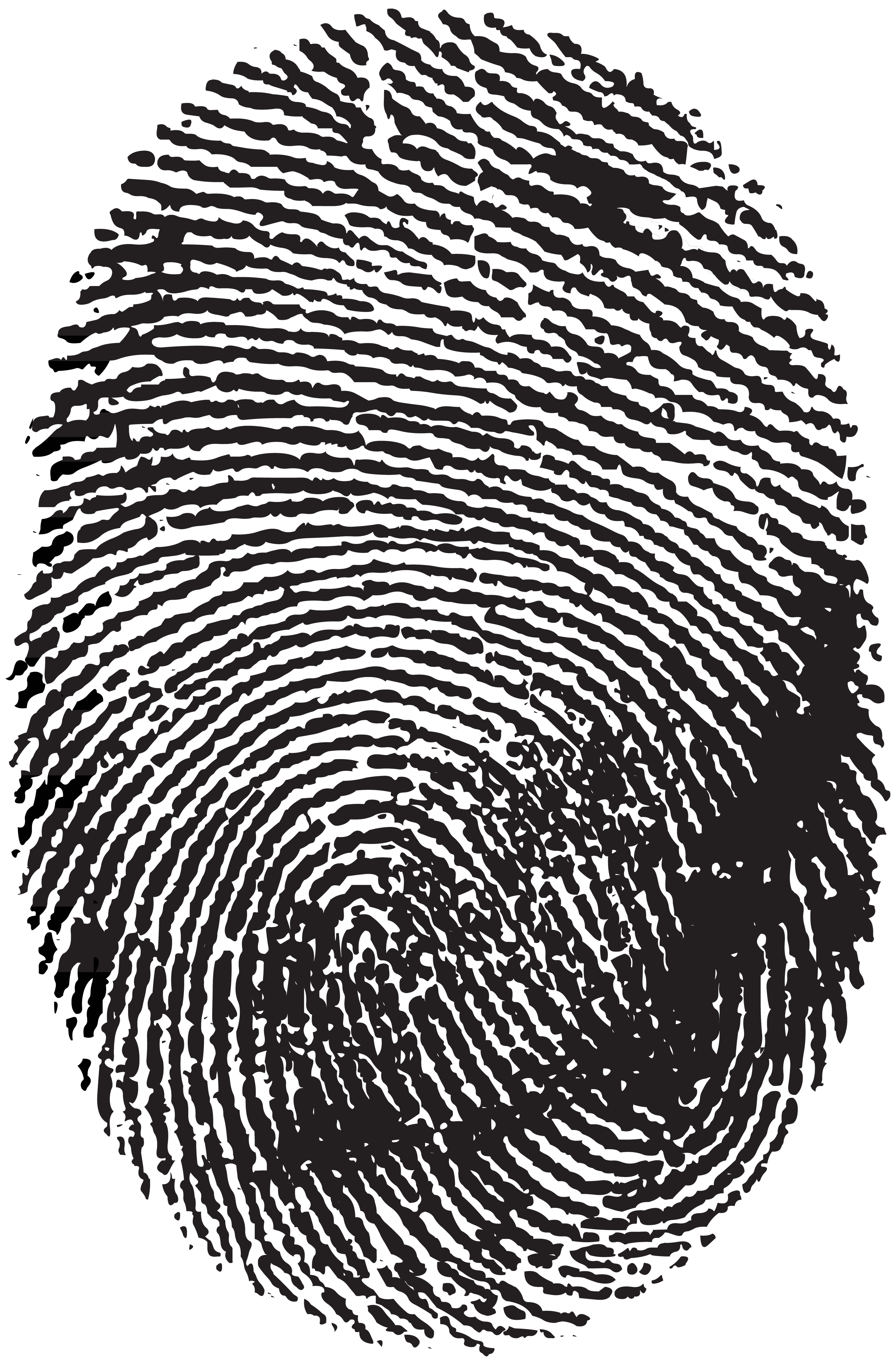 Fingerprint